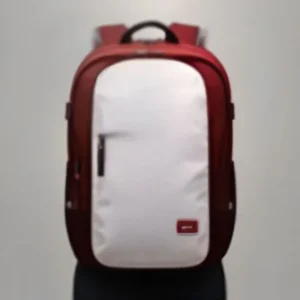 Durable Multi-Functional Backpack with USB Charging Port